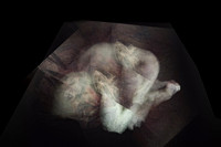 280617-1-3