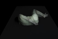 280314 #345