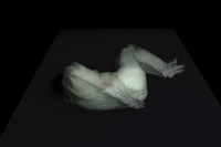 280314 #334