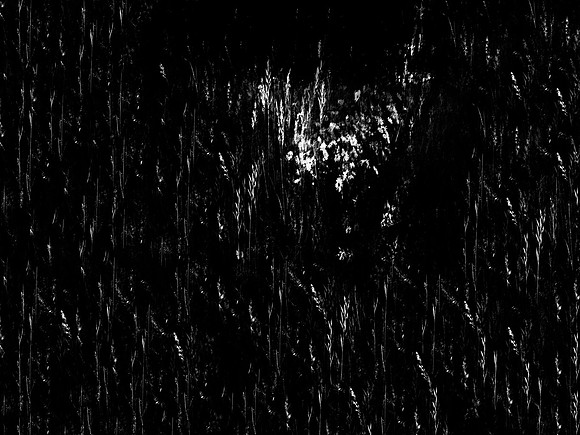 20 minutes 1-65_34260537733_o