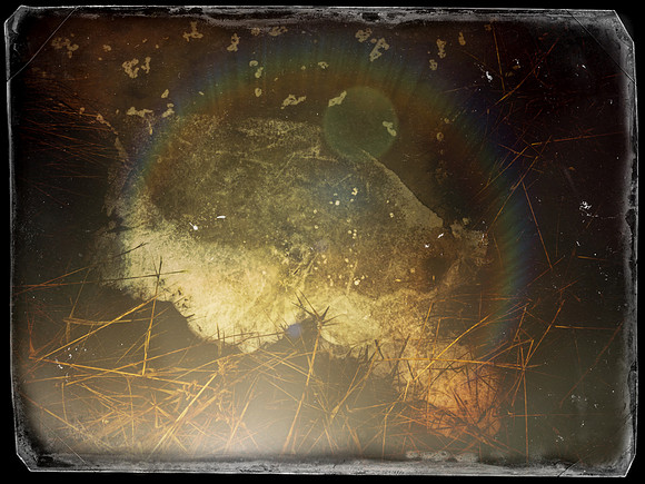 290917-68