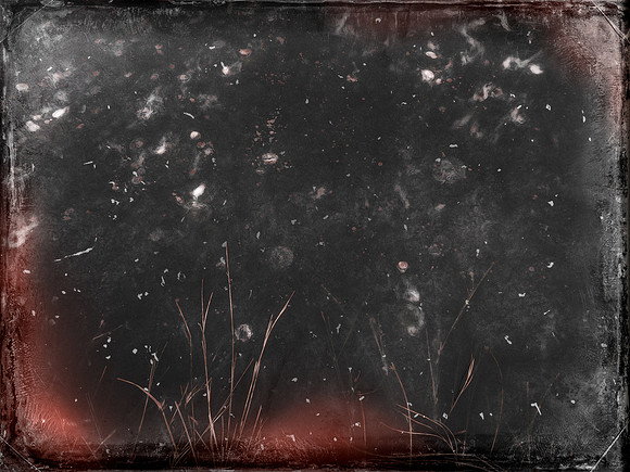250917-2