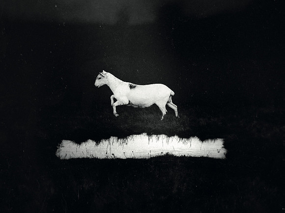 les discrets 'predateurs' album cover_32814531251_o