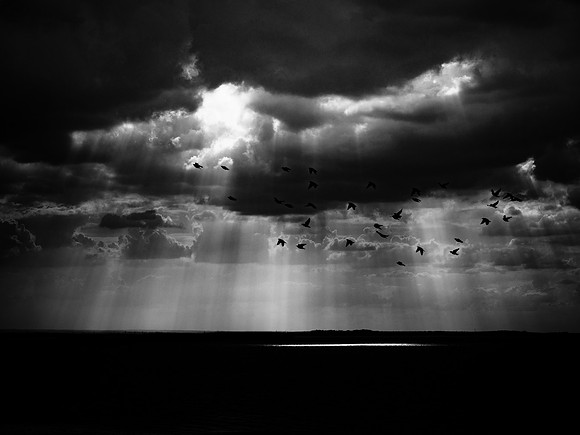 black water 100717- 43_35711346381_o