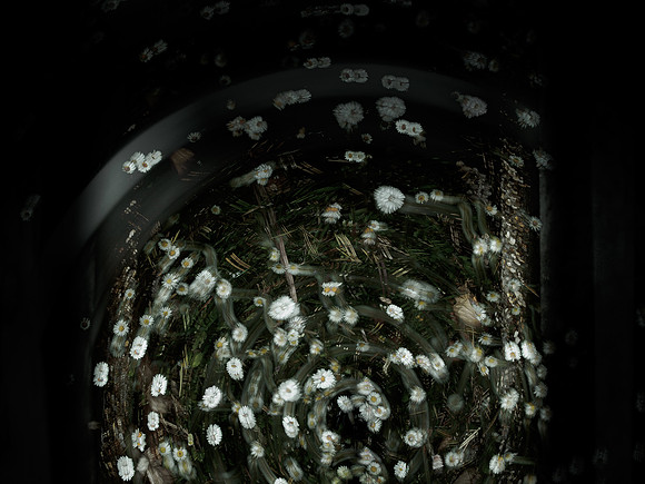 030615-88