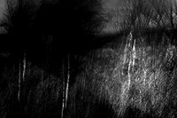 heroin 040517-2_33635356623_o