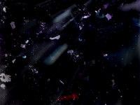 221017-20