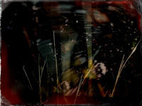 221017-10