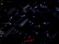 221017-19