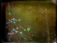 041017-6