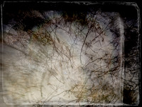 041017-8