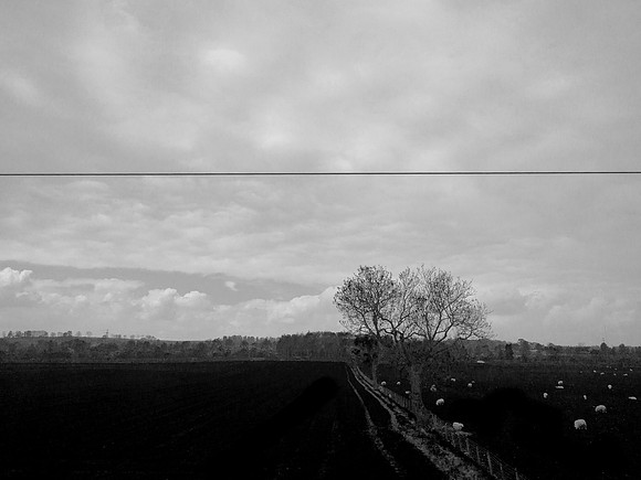 glasgow-london-394