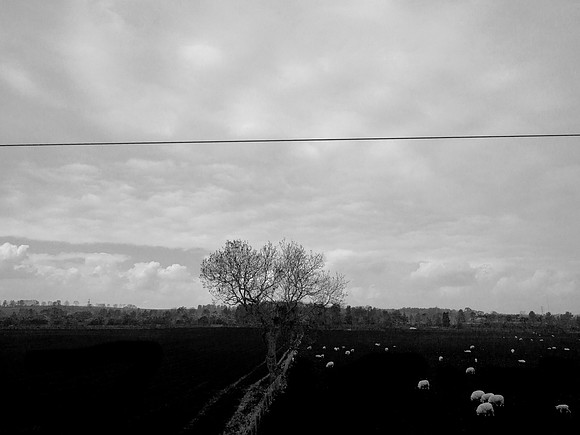 glasgow-london-393