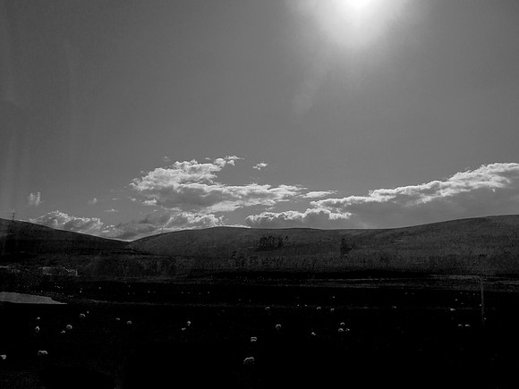 london - glasgow-381