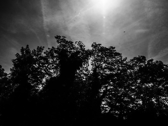 210617-1-50