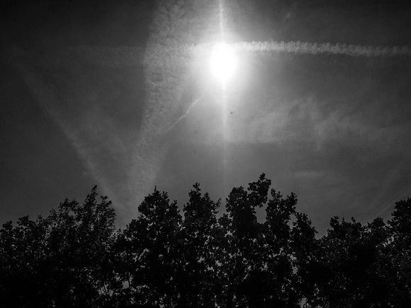 210617-1-90