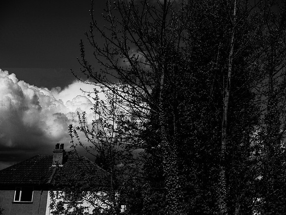 260417-371