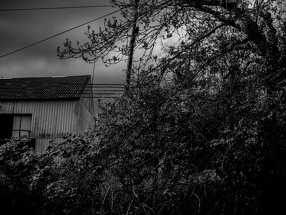 260417-96