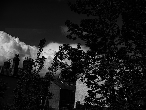 260417-379