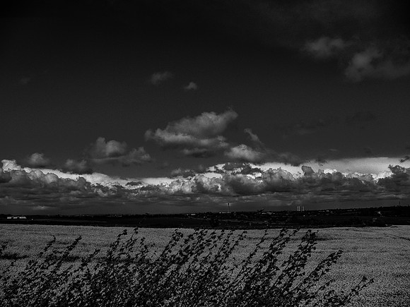 260417-259