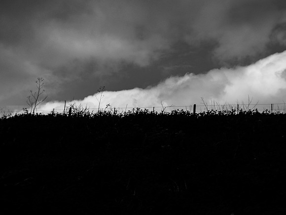 260417-8