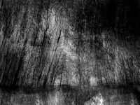 210717-3-6