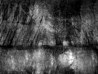 210717-3-7