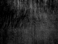 210717-4-4