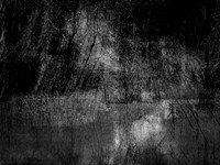 210717-4-9