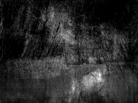 210717-4-7