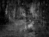 210717-4-10