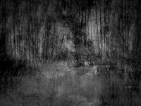 210717-4-8