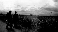 untitled-115