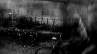 untitled-135