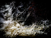 010817-1694