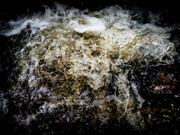 010817-1685