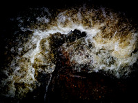 310717-19