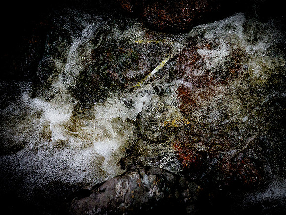 310717-24