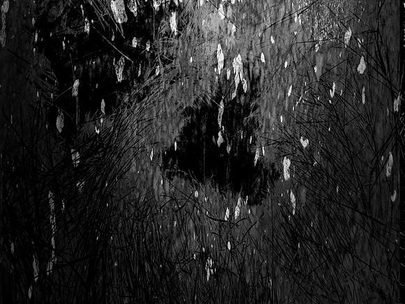 261017-32