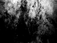 281017-6
