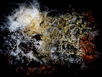 290717-623