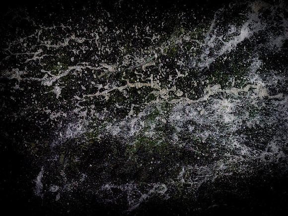 290717-646