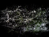 290717-631