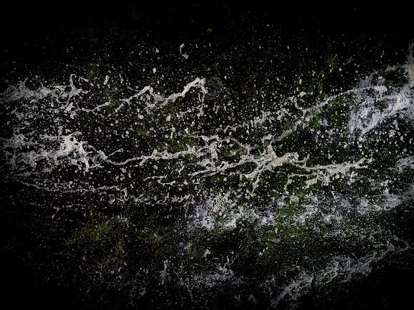 290717-647