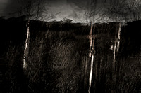 100114-237-37