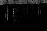 161214-477