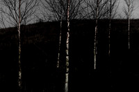 161214-360