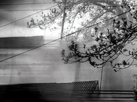 260417-96-Edit-2