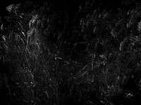 010617-214-8