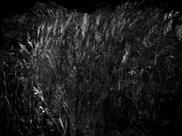 010617-214-1